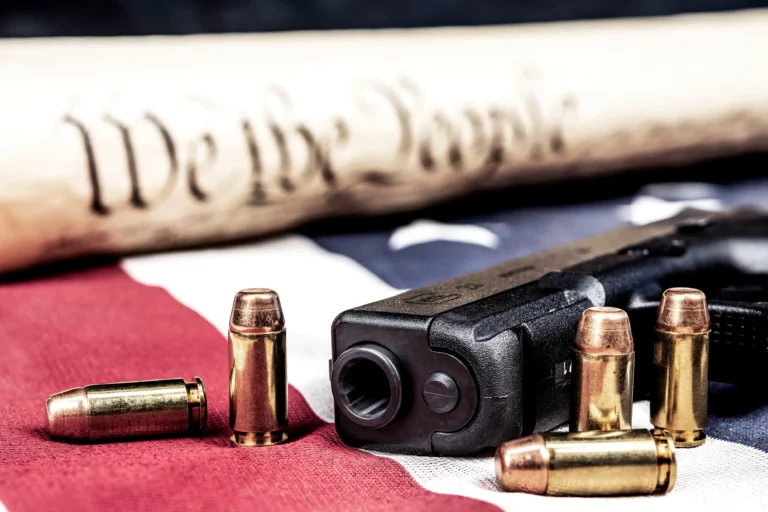 Pistol, Flag and Constitution
